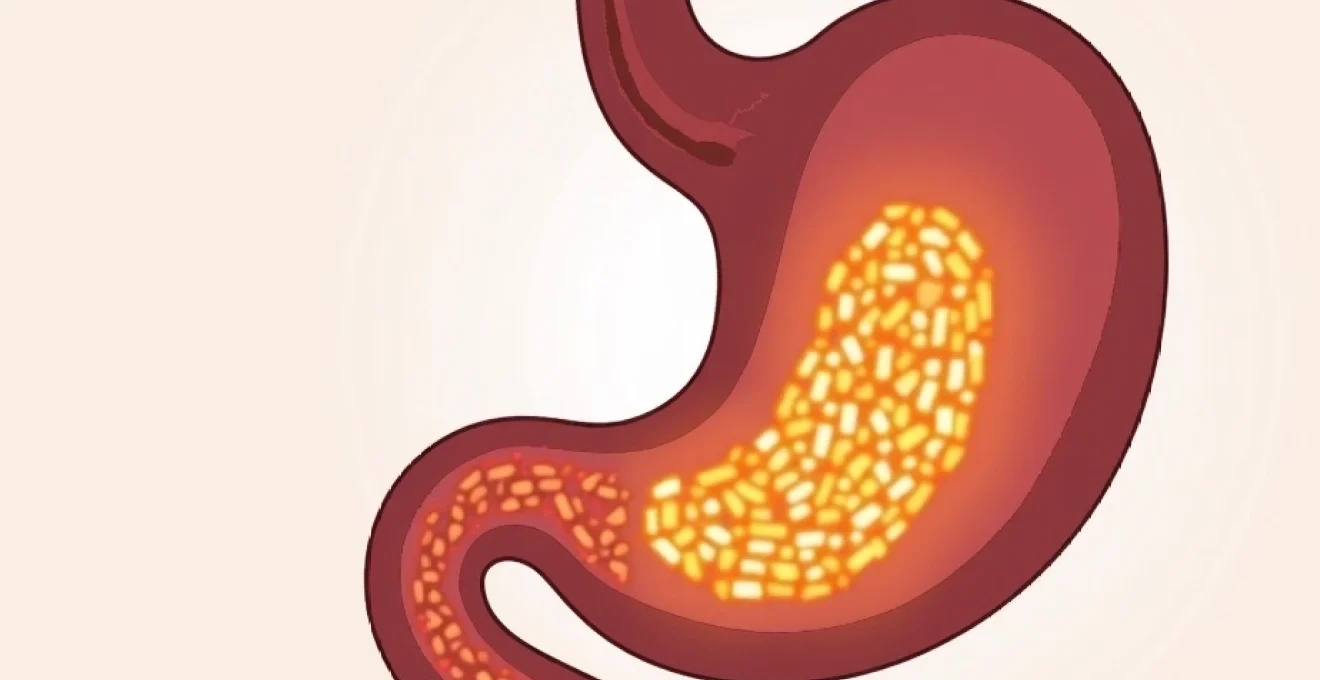 fluttering-sensation-in-the-upper-abdomen